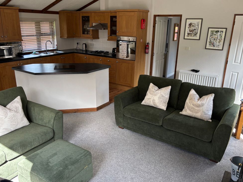 A living room with a green sofa and kitchen area at 2 Riverside Lodge Abercych near Cenarth