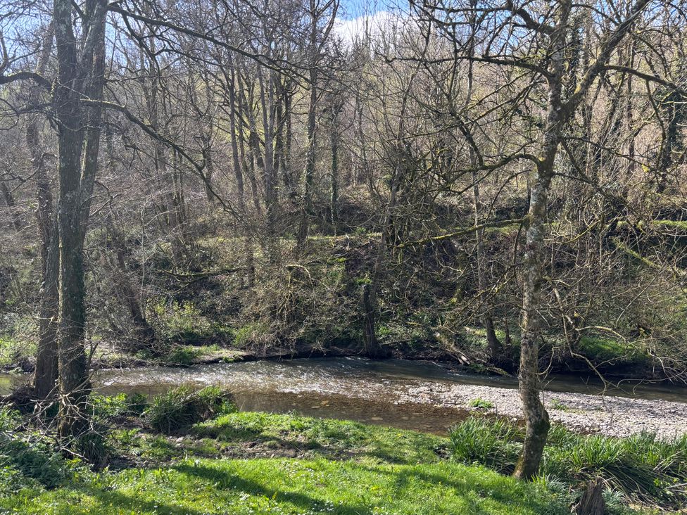 A river flowing through trees and grass at 2 Riverside Lodge Abercych near Cenarth