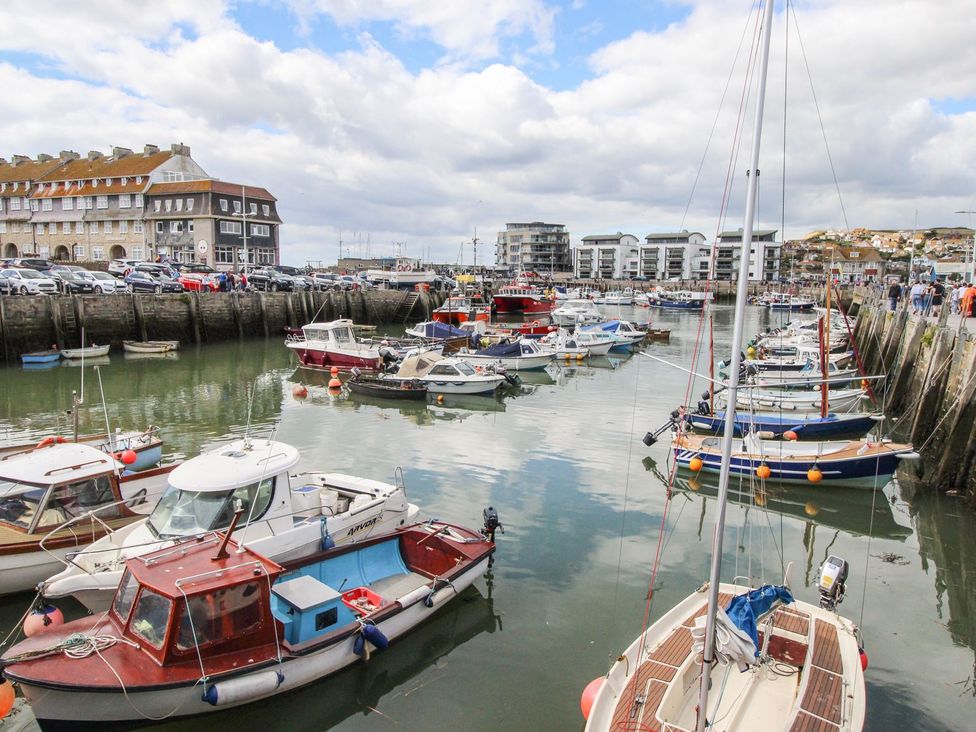 Seagulls Nest - Dorset - 1169211 - thumbnail photo 16