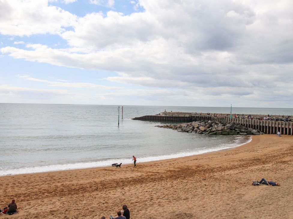 Seagulls Nest - Dorset - 1169211 - thumbnail photo 18