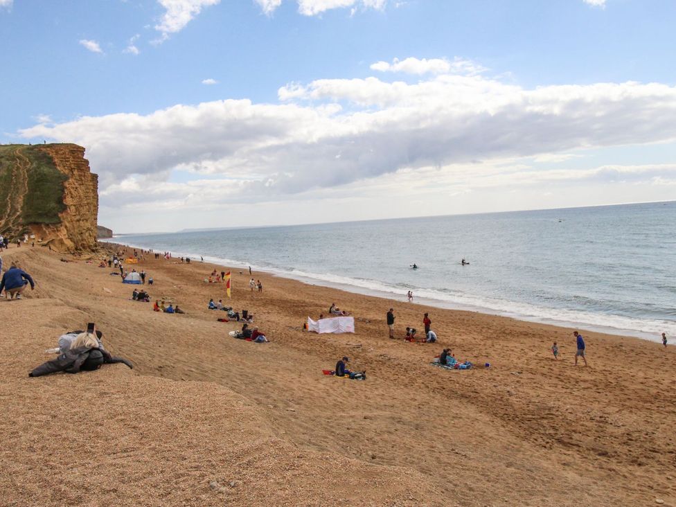 Seagulls Nest - Dorset - 1169211 - thumbnail photo 19