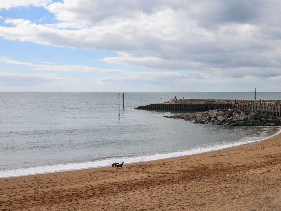 Seagulls Nest - Dorset - 1169211 - thumbnail photo 20