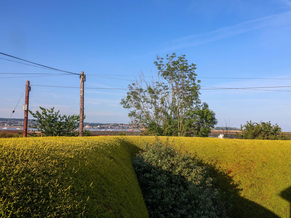 A view of a hedge and trees with telephone poles and power lines at 1 Eastdon Cottages Exeter