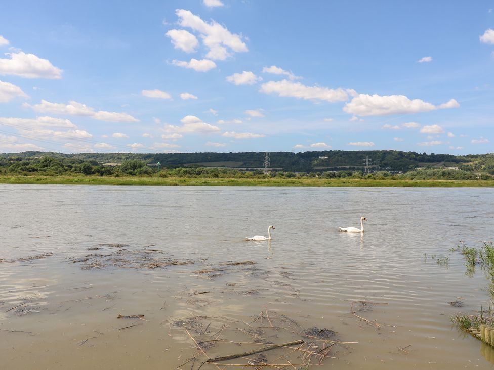 A river with swans swimming at Haymens Wharf Wouldham