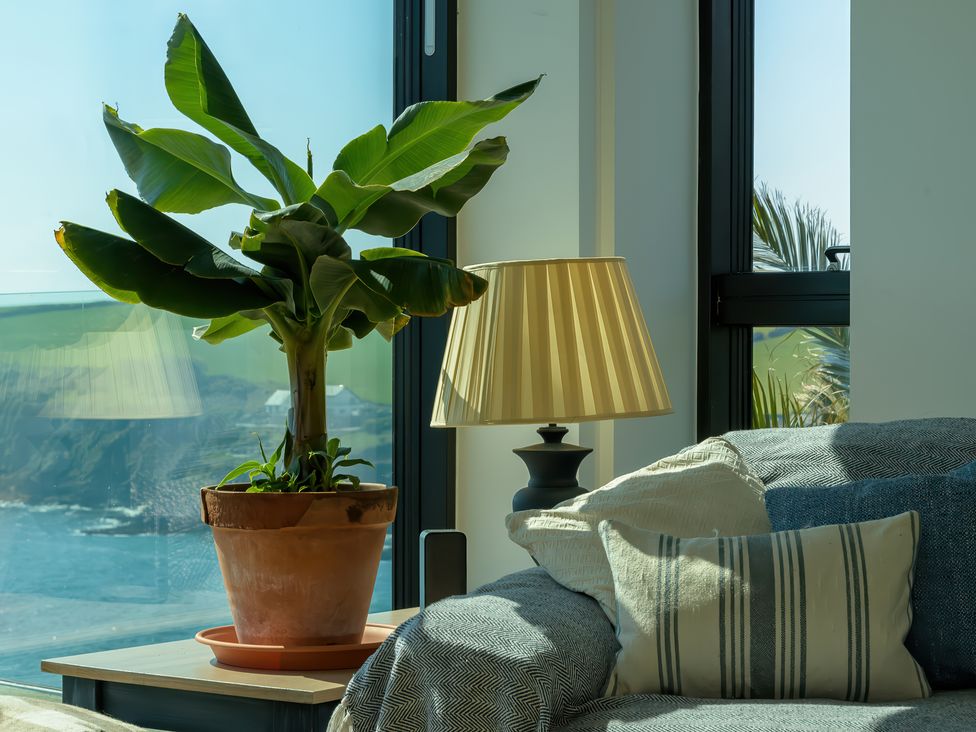 A potted plant and a table lamp next to a sofa with pillows by a window at Oystercatcher in Mevagissey