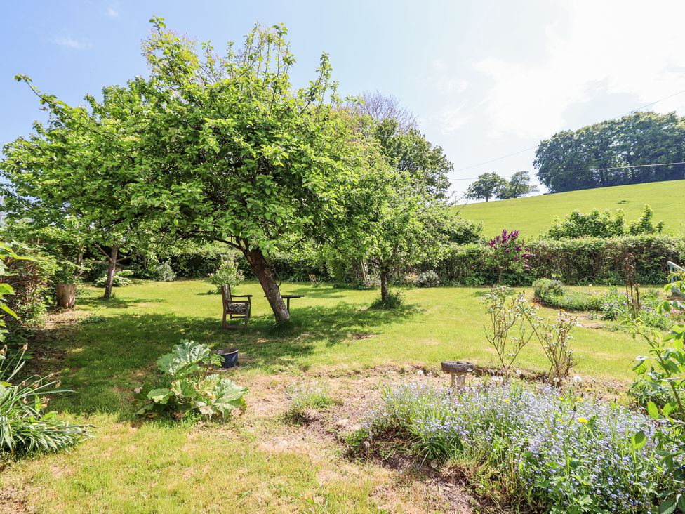 Brynawel - Mid Wales - 1169431 - thumbnail photo 33