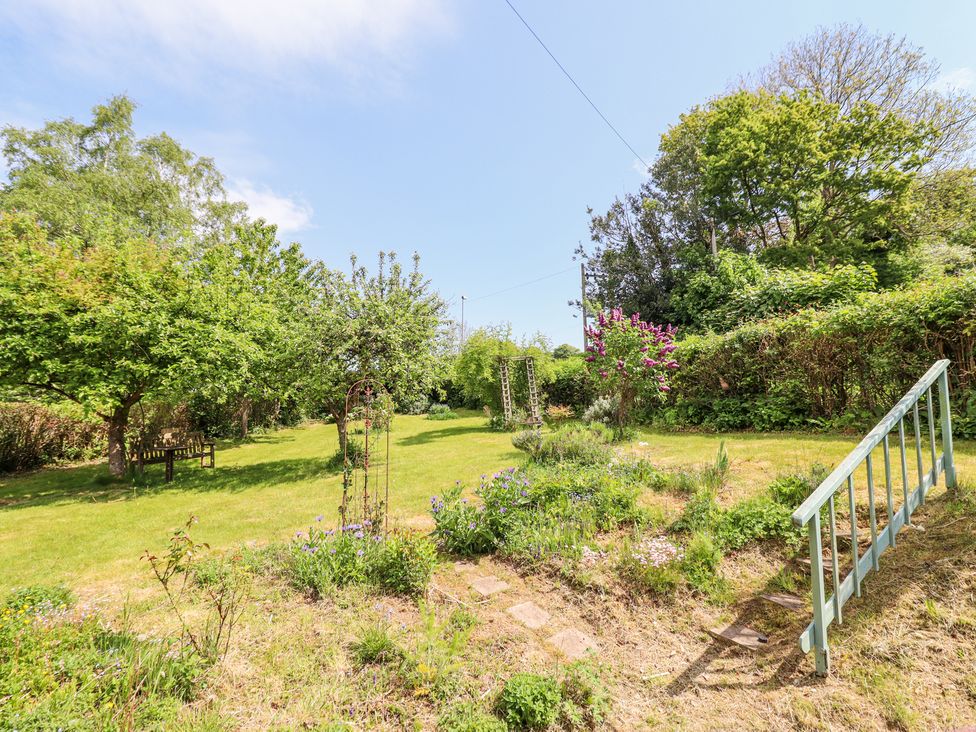 Brynawel - Mid Wales - 1169431 - thumbnail photo 36