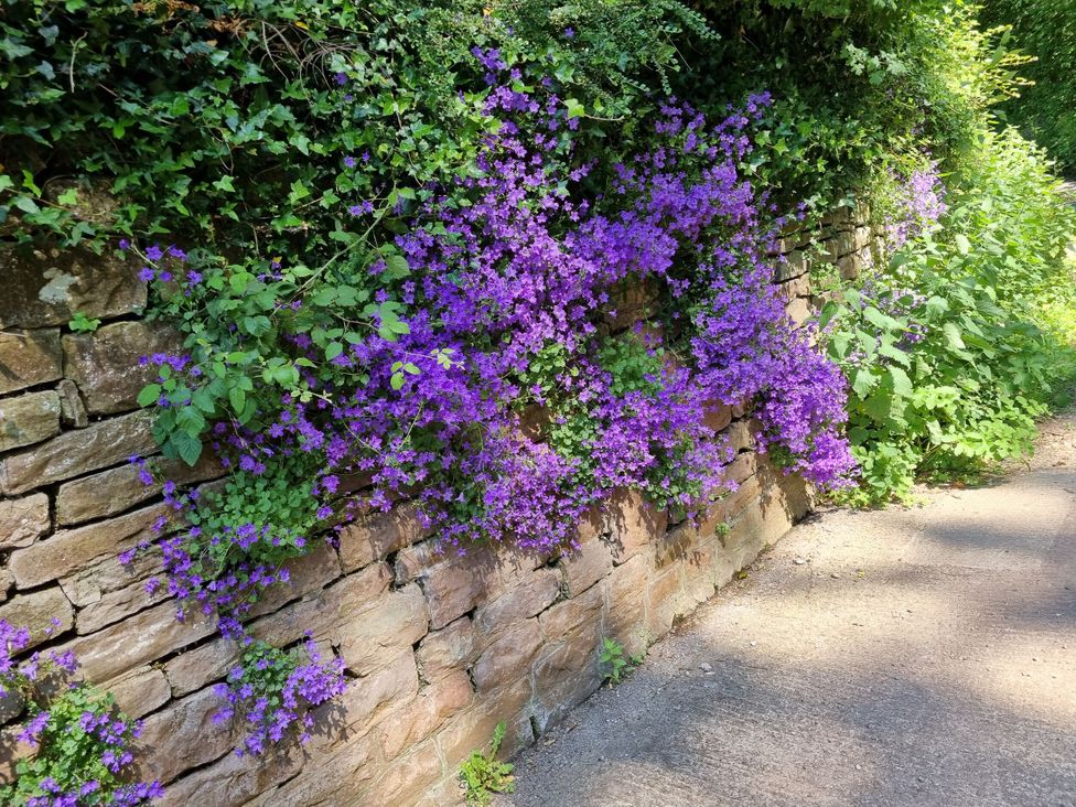 A stone wall covered in purple flowers and greenery at Court House Cottage Gatcombe near Blakeney