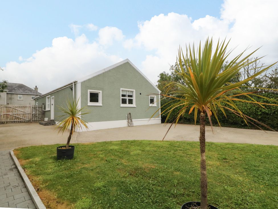 A house with a driveway and palm tree at Woodside Guest House Castlerock