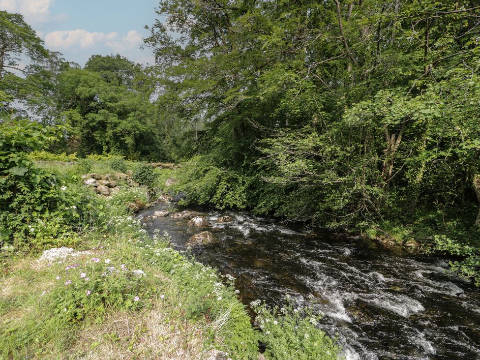 A river with trees and flowers in a natural setting at Glandwr Cottage Llanbedr