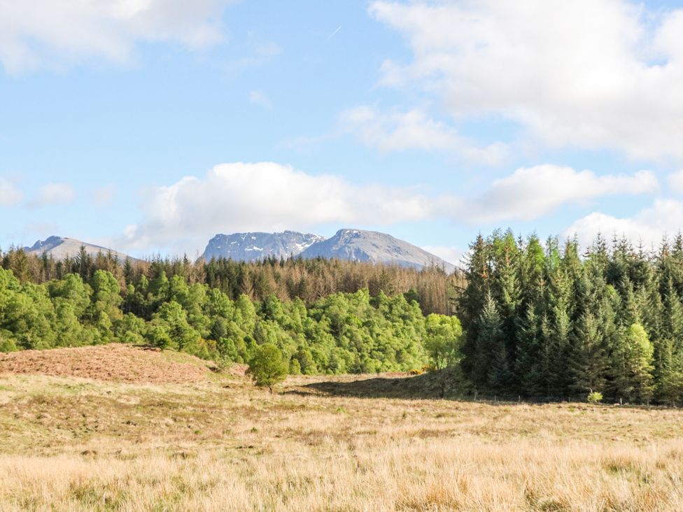 Camisky Lodge - Scottish Highlands - 1169504 - thumbnail photo 56