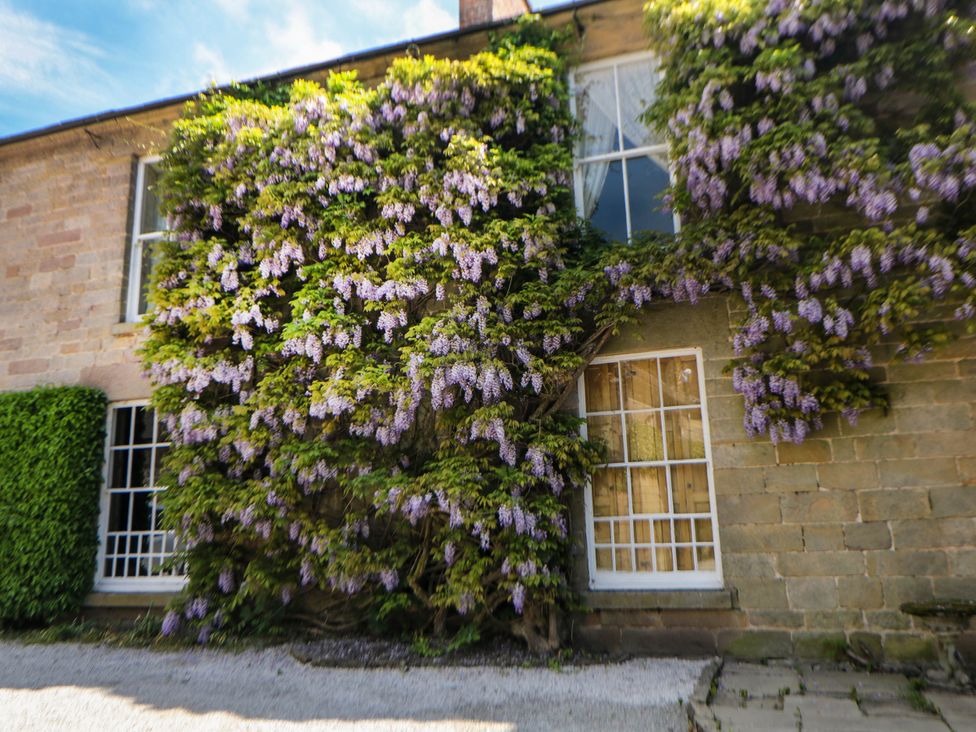 The Card House - Peak District & Derbyshire - 1169560 - thumbnail photo 28