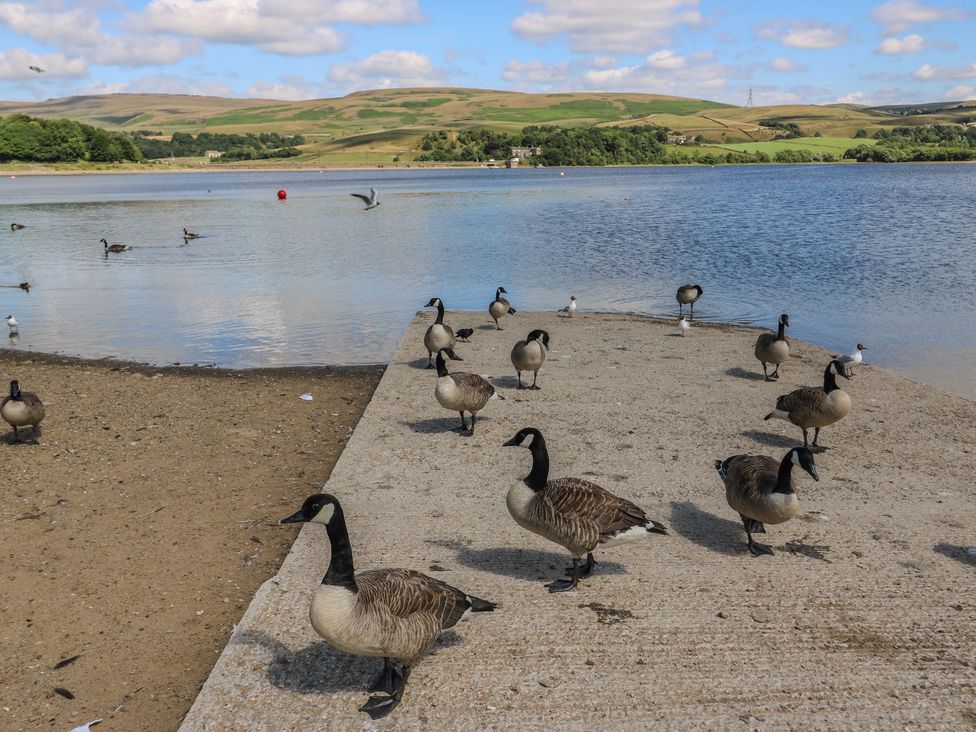 Lake Bank Views - Peak District & Derbyshire - 1169703 - thumbnail photo 31