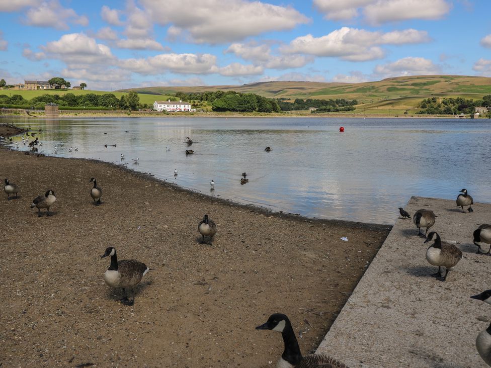 Lake Bank Views - Peak District & Derbyshire - 1169703 - thumbnail photo 32