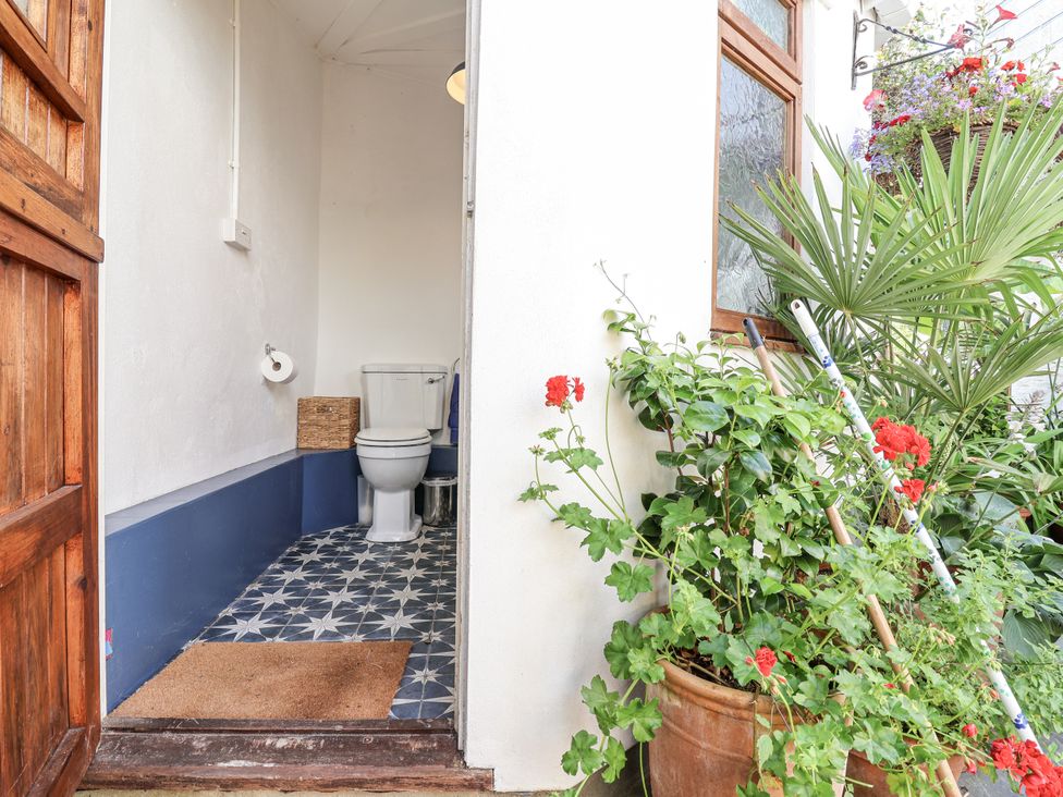 A bathroom with a toilet and plants at Springfield in Kingsand