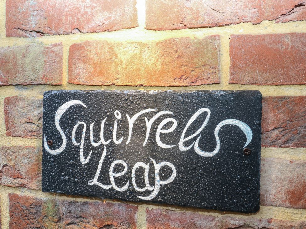 Squirrel's Leap - Hampshire - 1169788 - thumbnail photo 3