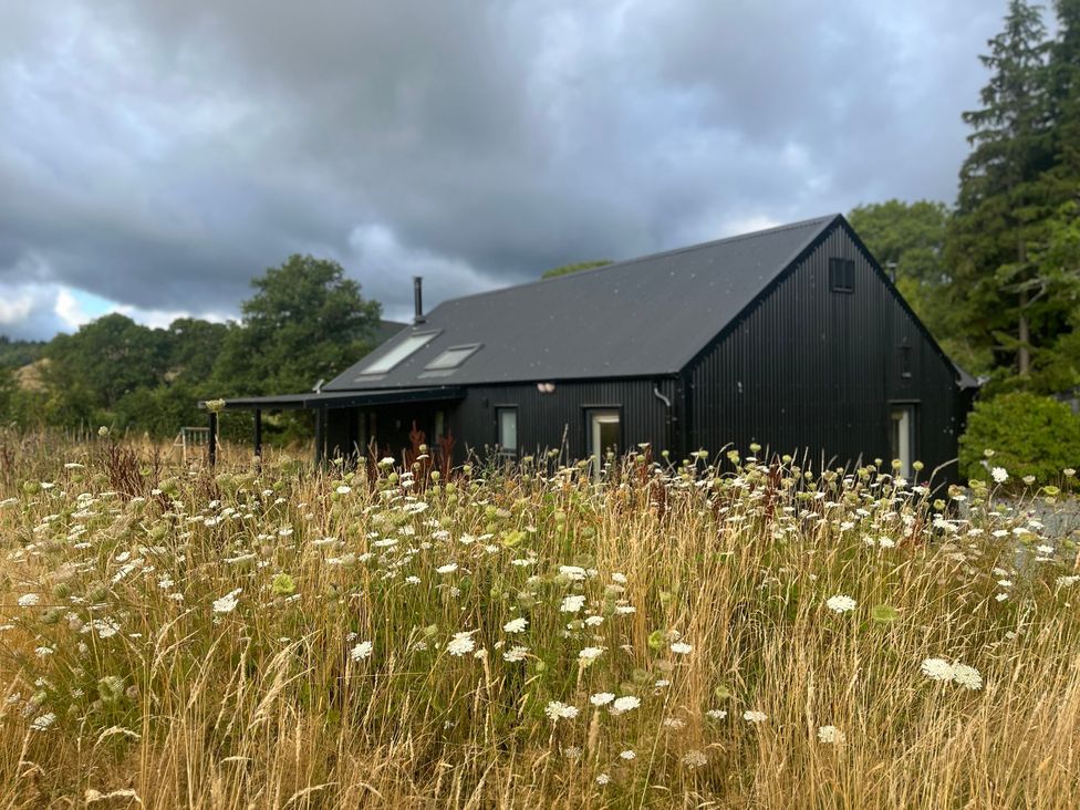 A house surrounded by grass and flowers at Grove Cottage in Gladestry