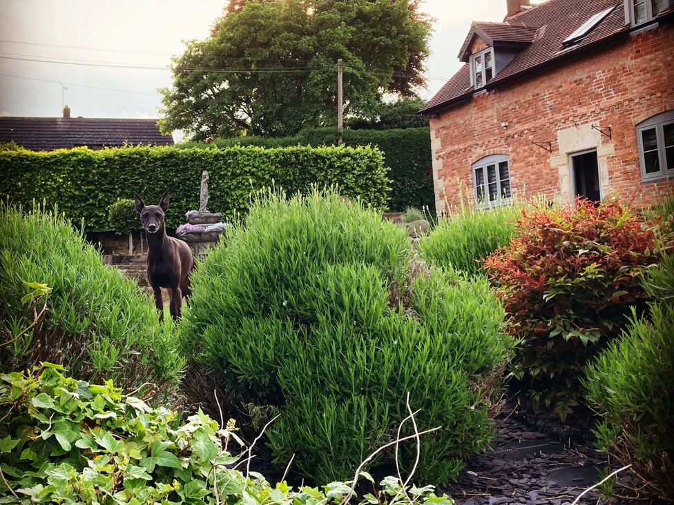 New Elms Farmhouse - Peak District & Derbyshire - 1169994 - thumbnail photo 59