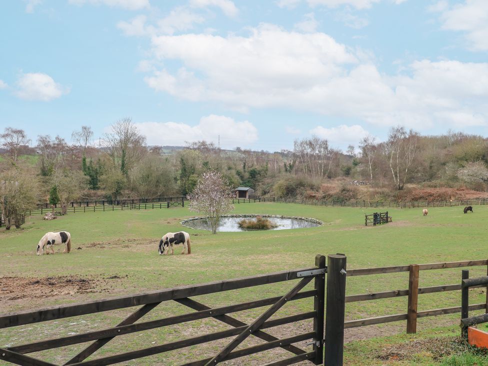 New Elms Farmhouse - Peak District & Derbyshire - 1169994 - thumbnail photo 52