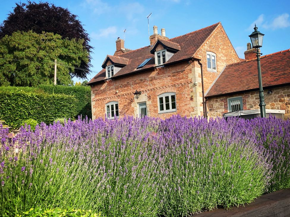 A house with lavender in front at New Elms Farmhouse Melbourne, Derbyshire