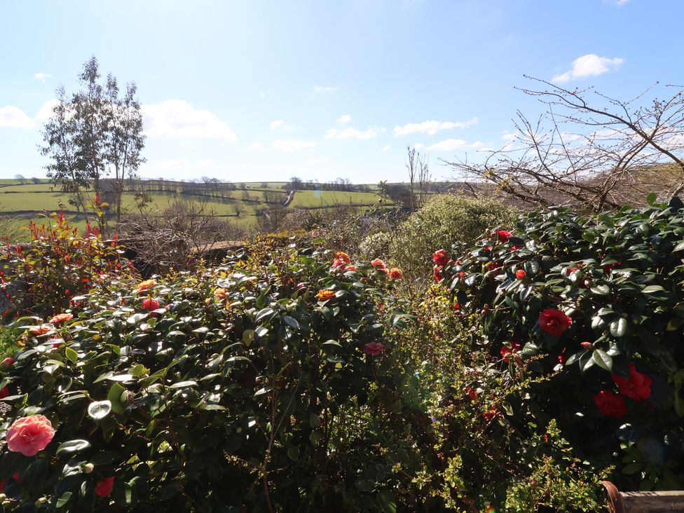 Magnolia View - Devon - 1170059 - thumbnail photo 45