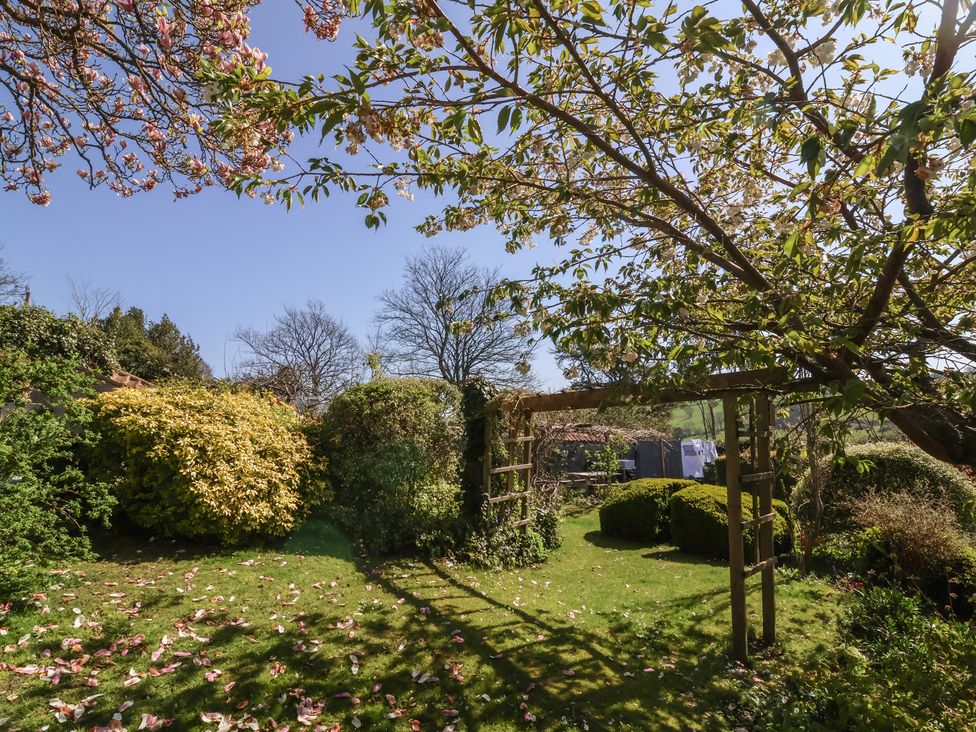 Magnolia View - Devon - 1170059 - thumbnail photo 39