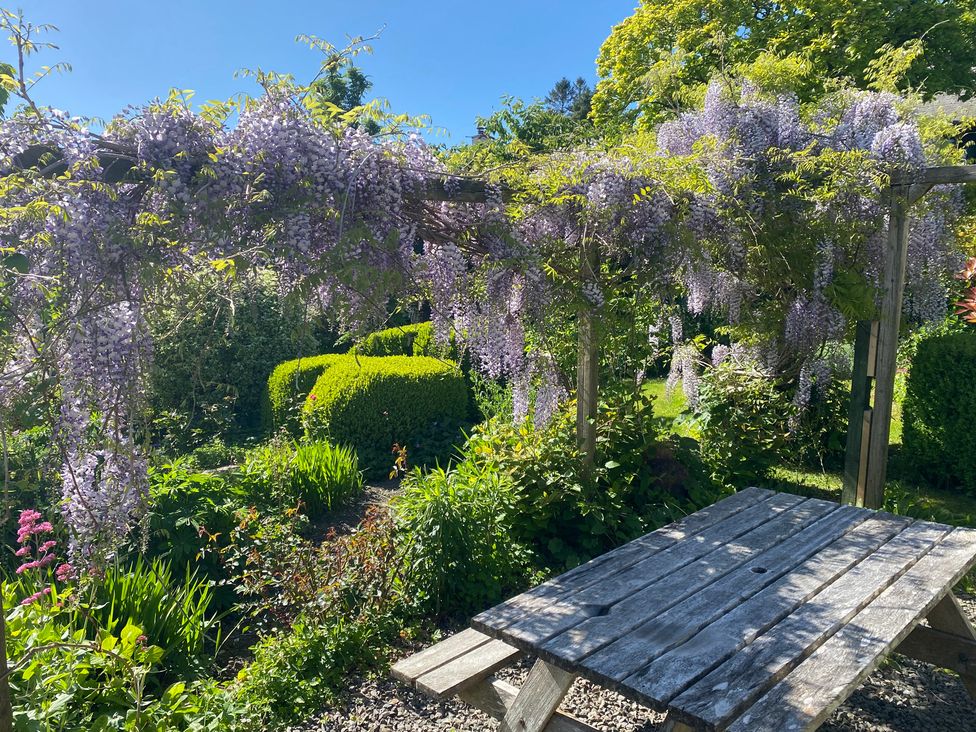 A garden with a wooden table beneath a pergola covered in purple flowers and bushes at Magnolia View Goodleigh near Barnstaple