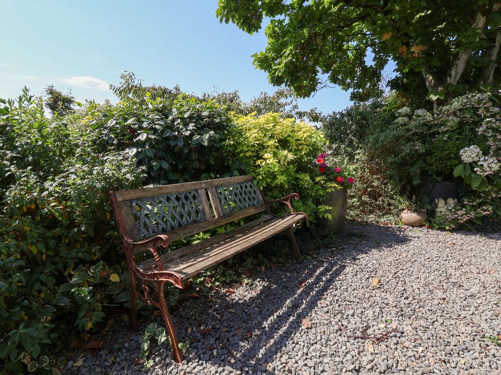 A garden with a wooden bench and plants at Magnolia View in Goodleigh near Barnstaple