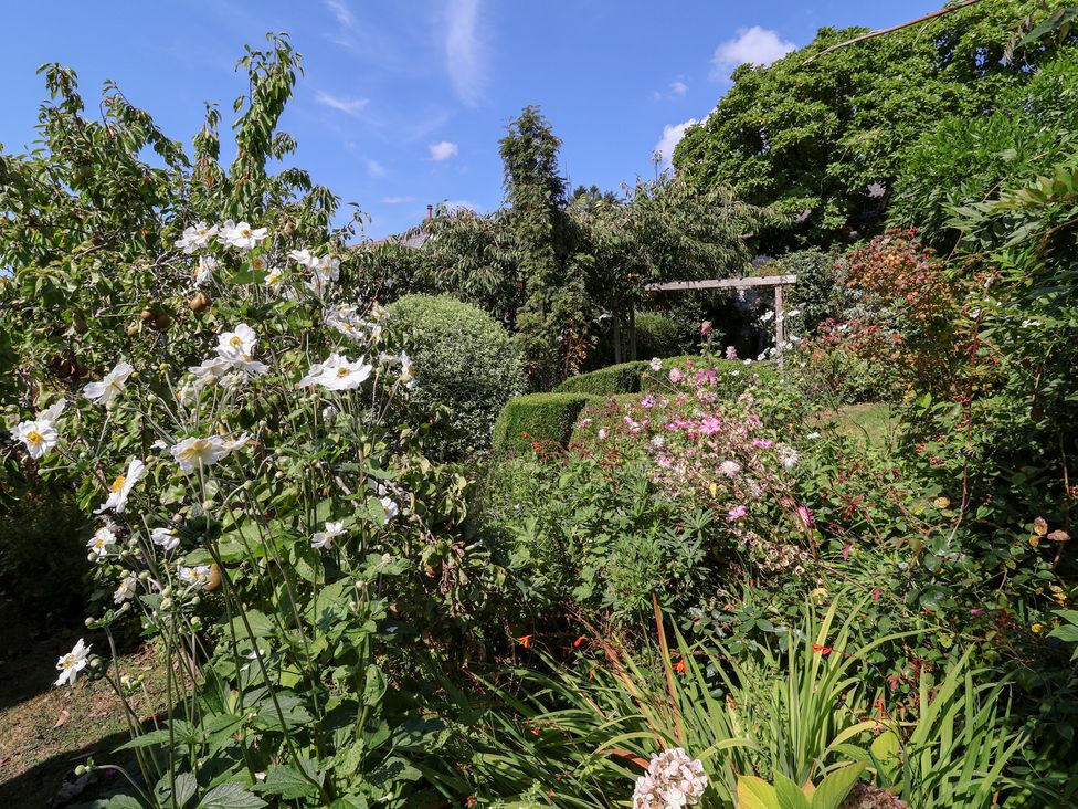 A garden with various plants and an archway at Magnolia View in Goodleigh near Barnstaple