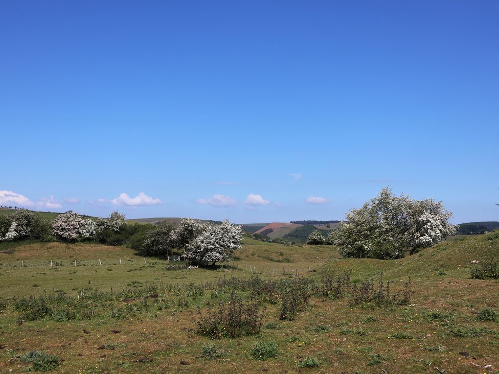 A landscape with trees and grass at Cynynion Uchaf Rhydycroesau near Trefonen