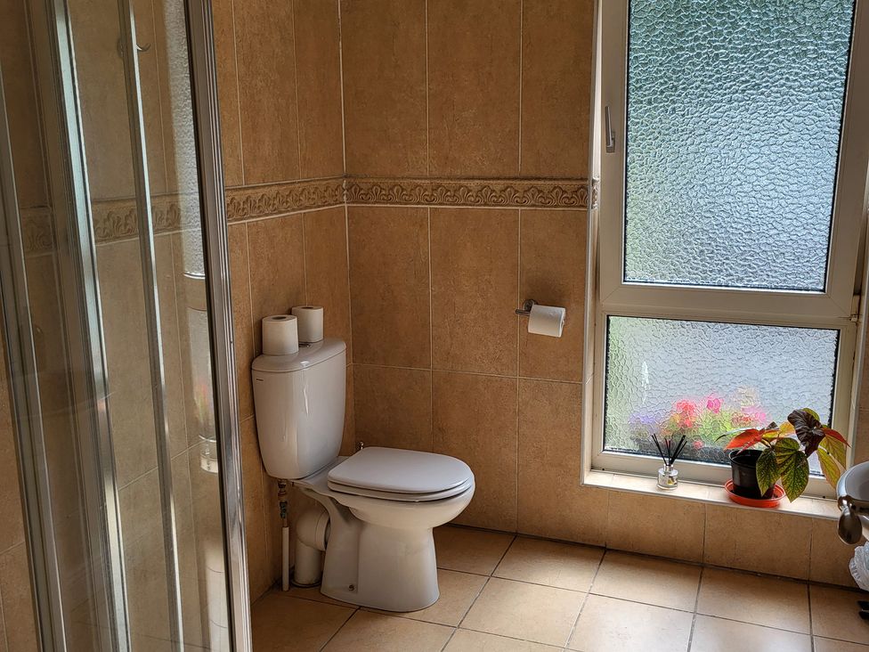 A bathroom with a toilet, shower and window at Beech Lodge, Foulksmills, County Wexford