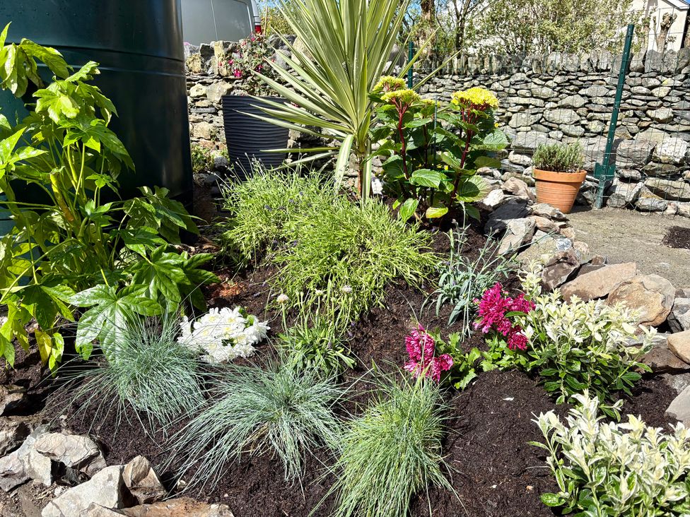 A garden with various plants and flowers at Gwynfa in Ysbyty Ifan