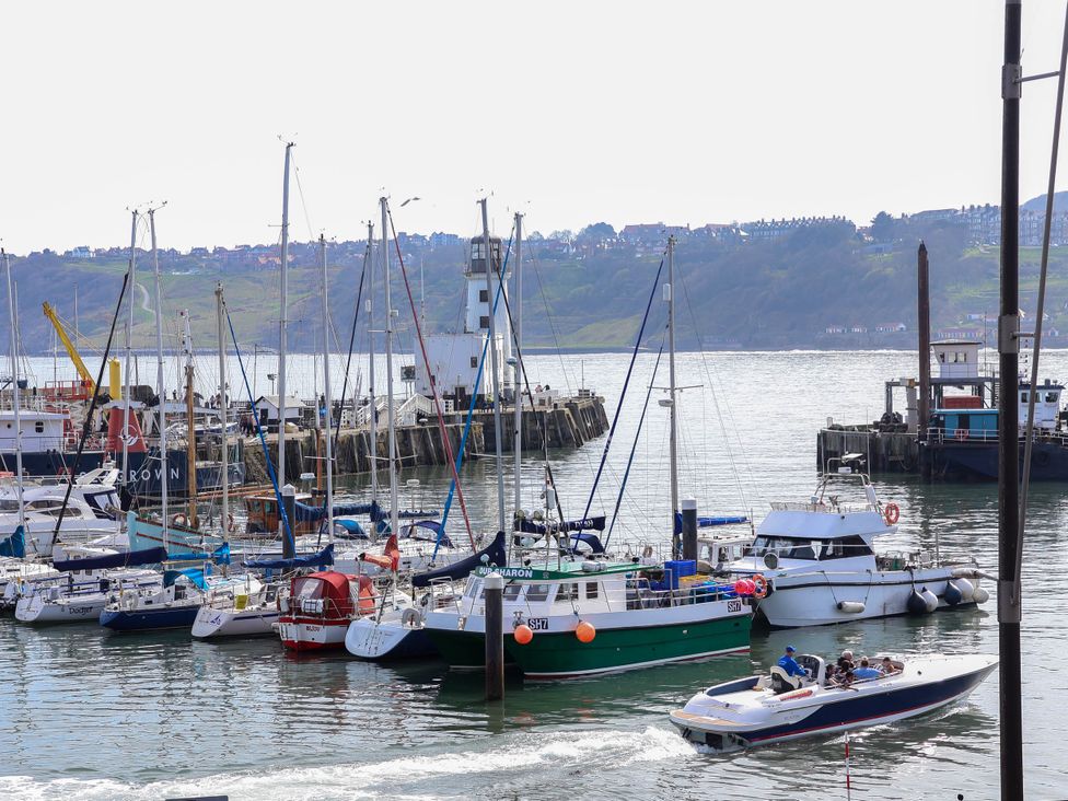 Apartment 1 - North Yorkshire (incl. Whitby) - 1170352 - thumbnail photo 24