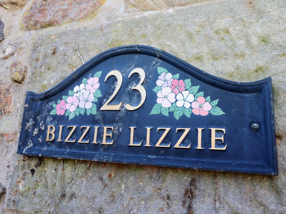 Bizzie Lizzie - Northumberland - 1170591 - thumbnail photo 2