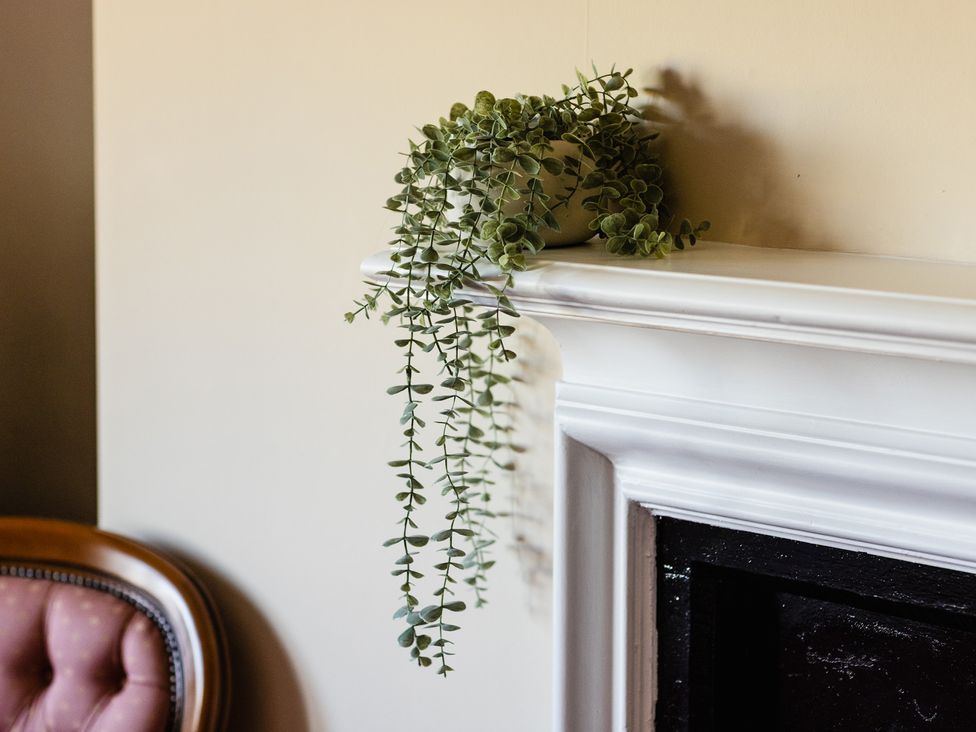 A plant on a shelf near a fireplace at Cheviot Manor in Akeld near Wooler