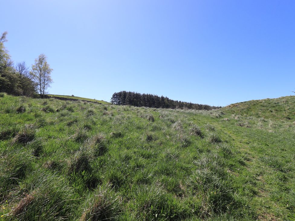 A field with grass and trees at Fogga Croft Gargrave