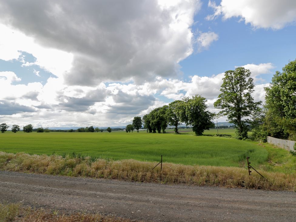 A field with trees and a gravel road at Eagle Glen Cottage Kettins near Coupar Angus