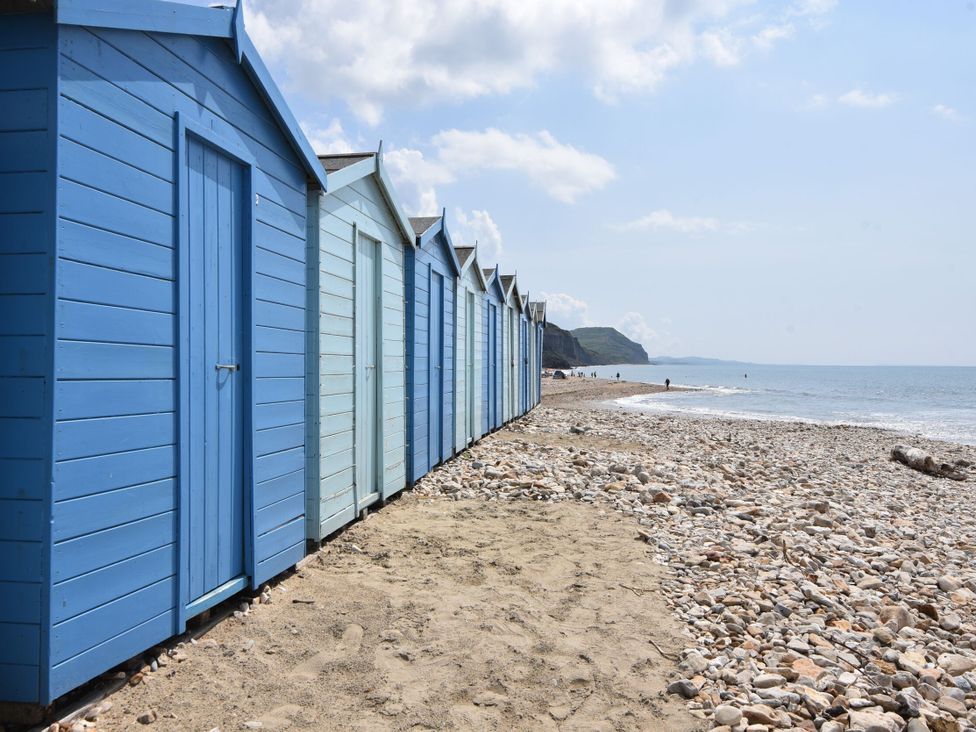 Daisy Cottage - Dorset - 1170835 - thumbnail photo 43