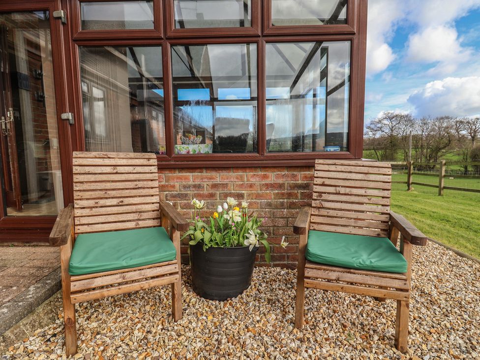 Two wooden chairs and a potted plant in a garden at Daisy Cottage Whitchurch Canonicorum near Charmouth