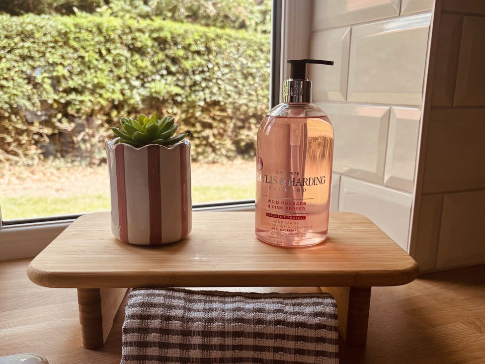 A sink area with a succulent plant and hand wash at Denholme in Hogsthorpe