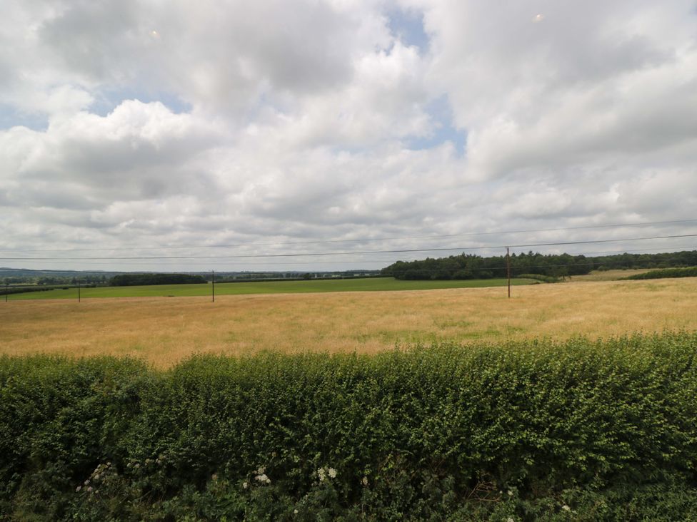 A view of a field with power lines and trees at Beech in Newbury