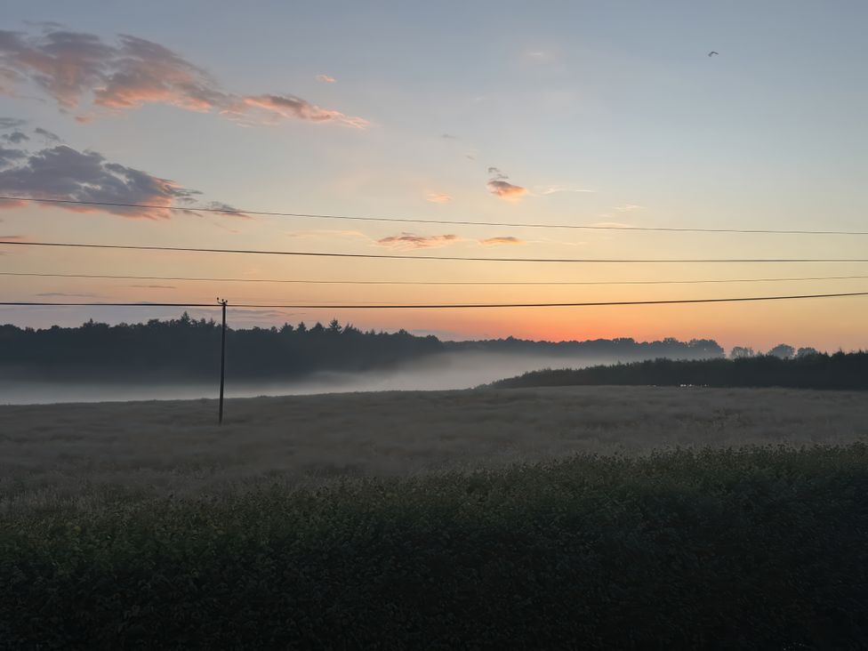 A field with fog and trees at sunrise at Beech Elcot near Kintbury