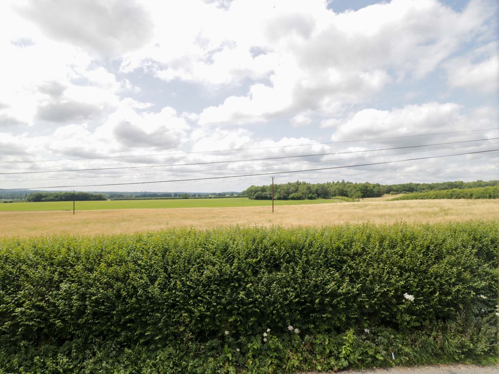 A field with grass and trees at Hazel Elcot near Kintbury