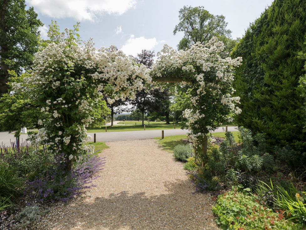 A garden with an archway covered in flowers at Cedar Elcot near Newbury