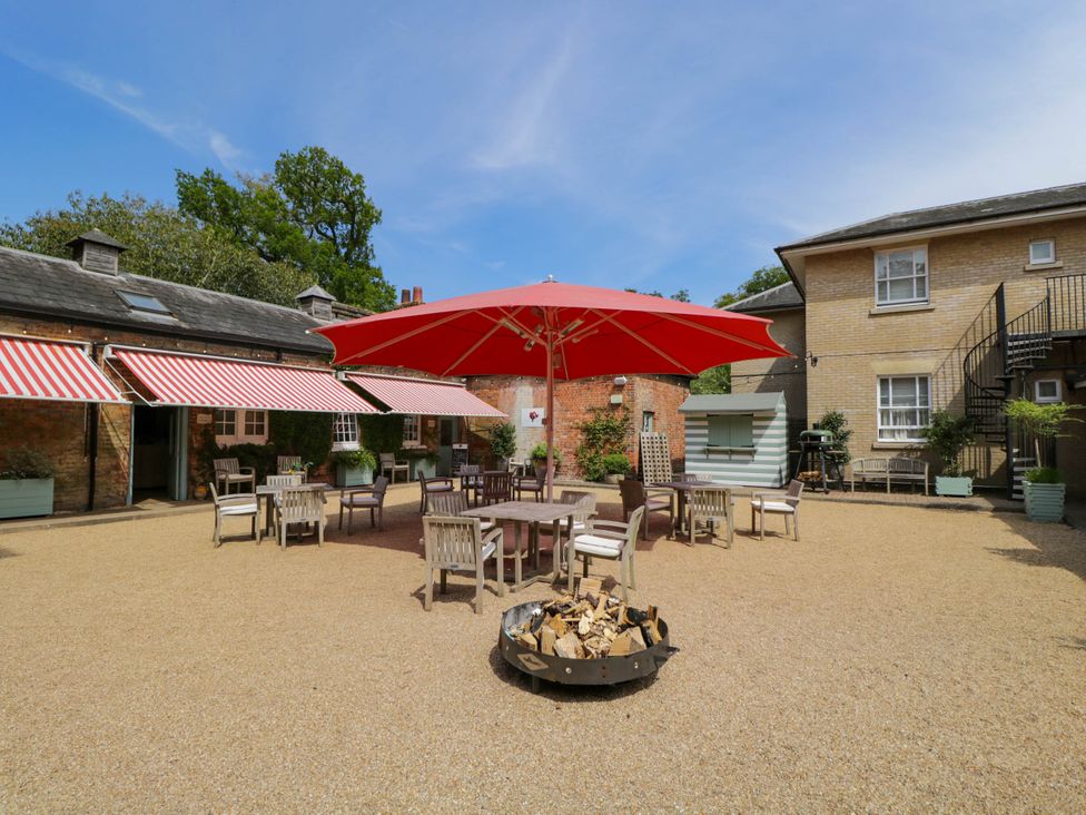 Oak - Kent & Sussex - 1170888 - thumbnail photo 36