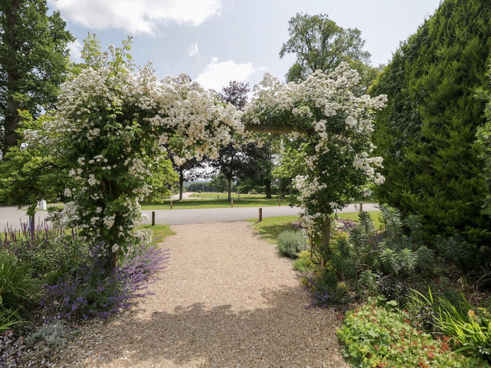 A garden with an arch covered in flowers at Oak Elcot near Newbury