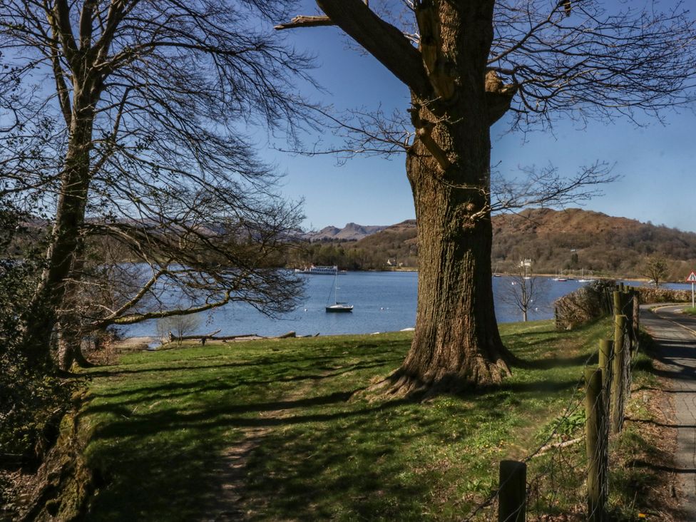 A view of a lake with a tree and a boat at Highfield Cottage in Windermere