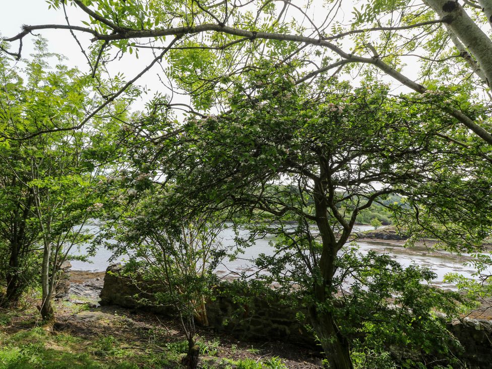 A view of trees and water with rocks at 3 Whin Bank Clachan-Seil near Balvicar Isle Of Seil