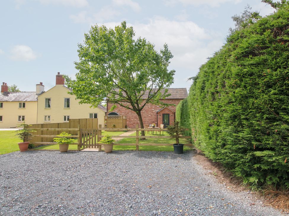 An outdoor area with a tree and gravel driveway at Sylva Cottage in Burlton near Cockshutt