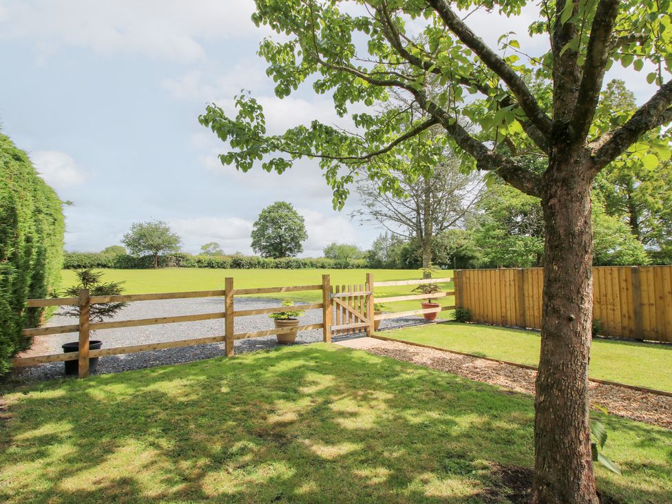 A garden with a tree and a gate at Sylva Cottage in Burlton near Cockshutt
